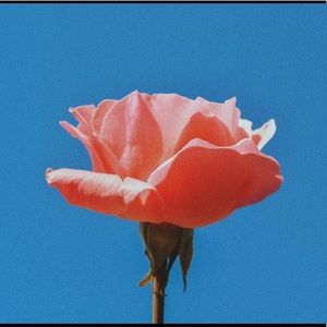 Meet your Posher, Eniola